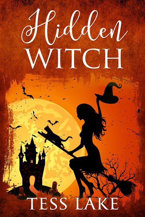 Witch fantasy illustrated book series